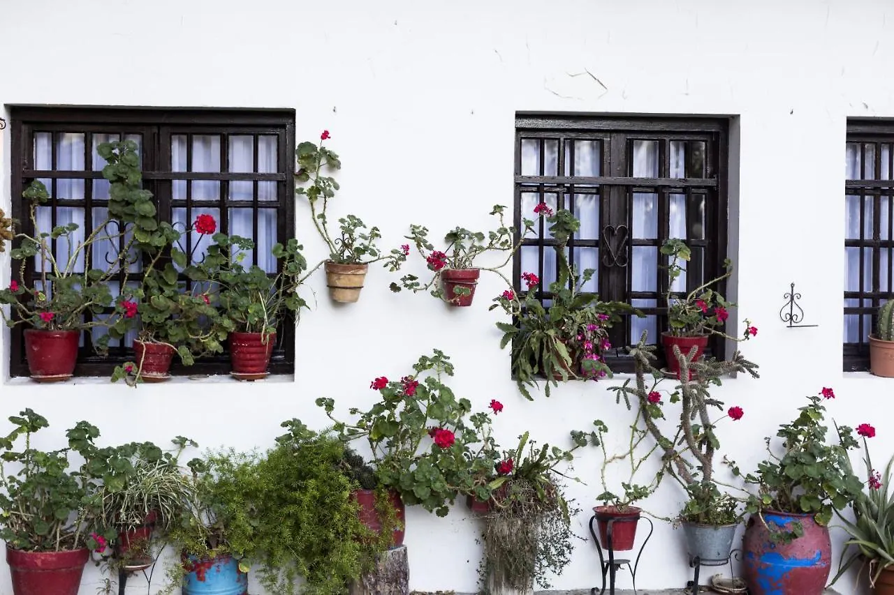 Apartment Olerki By Smiling Rentals Hondarribia